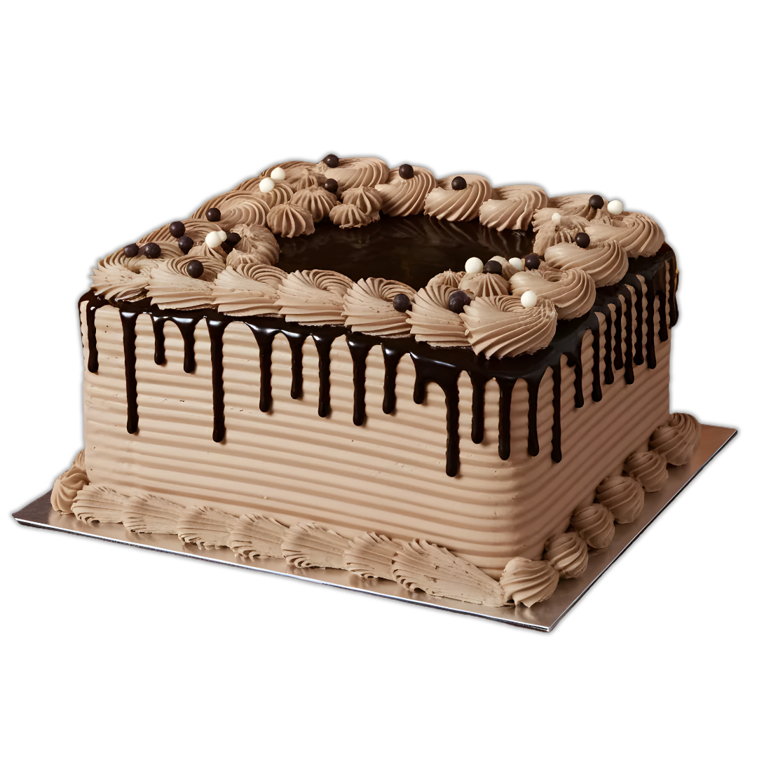 Chocolate Square Cake