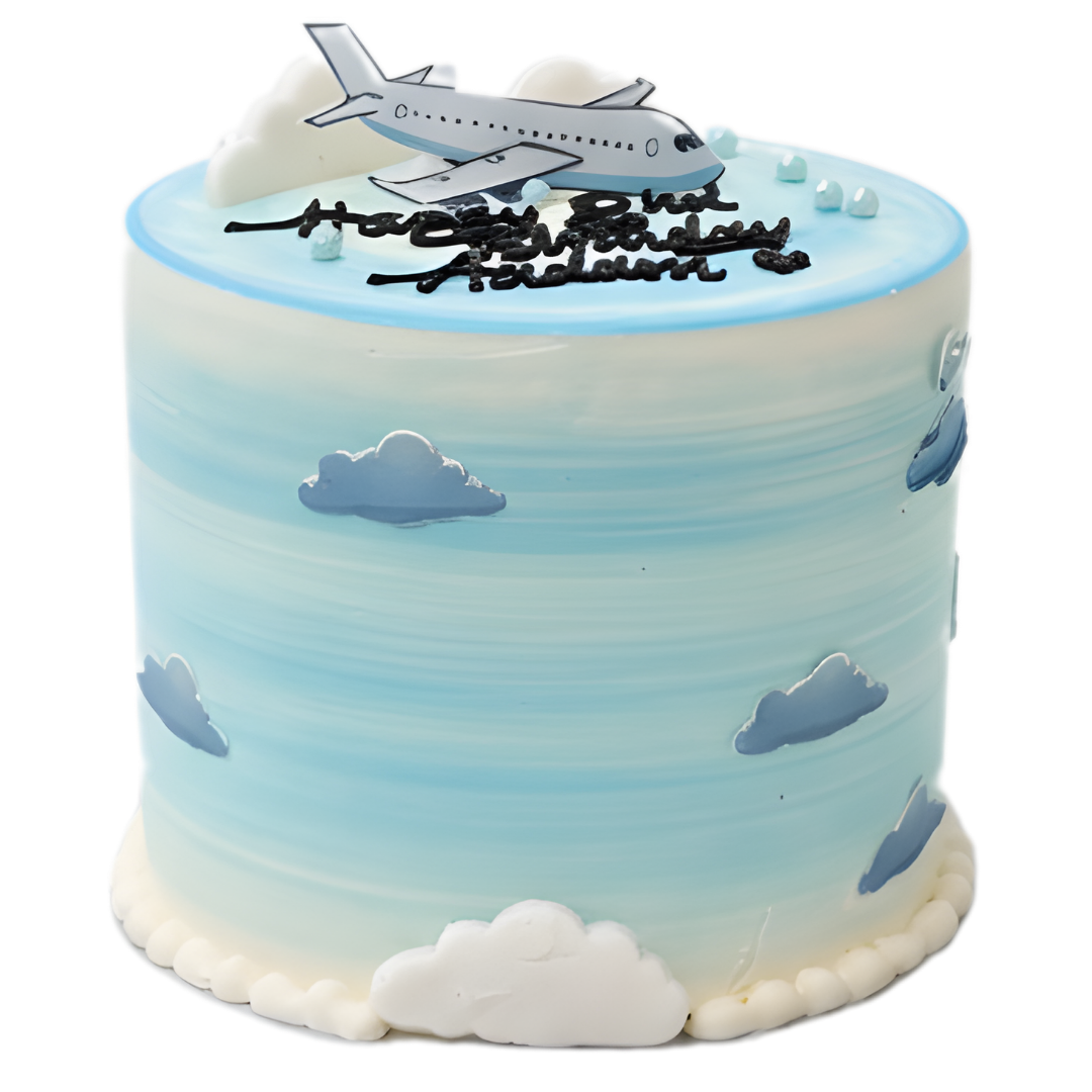 Sky Adventure Aeroplane Cake