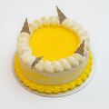 Mango Cake on white background